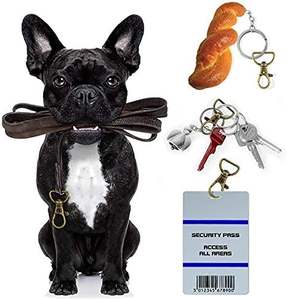 Draaibare zinken legering karabijnhaak met <span class=keywords><strong>D</strong></span>-ringen, waterdichte veiligheidshaken, sleutelhangerclip voor kleine tassen - Product Image 4