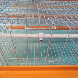 Chine <span class=keywords><strong>cage</strong></span> de poulet fabricants conception <span class=keywords><strong>cage</strong></span> à poulet pour la <span class=keywords><strong>couche</strong></span> - Product Image 3