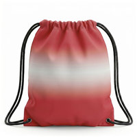 Sac à dos de football prêt à être expédié, stock US/UK, sac de football personnalisé, sac d'entraînement respirant, vêtements de sport, livraison directe