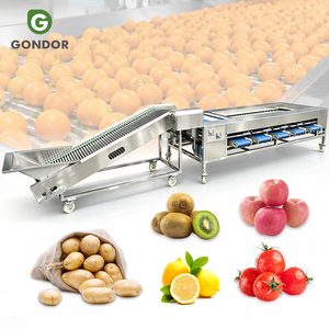 Machine de tri et de calibrage électronique de fruits et légumes (fraise, poivron, pomme, pomme de terre, concombre, oignon) de petite taille pour usage commercial - Product Image 1