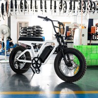 Vélo électrique 750w à pneus larges, vélo électrique à double siège, vélo tout-terrain