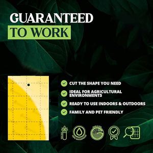 Trappola Adesiva Gialla Bifacciale per Insetti Volanti Piccoli, Efficace Controllo dei Parassiti per Frutteti e Orti - Product Image 4