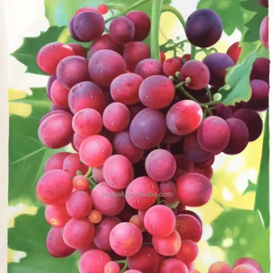 <span class=keywords><strong>Dipinti</strong></span> a Olio Personalizzati e Decorazioni Murali Dipinte a Mano, Stile Natura Morta, Raffiguranti Uva, Dipinto a Olio Realistico Fatto a Mano per Arredamento - Product Image 2