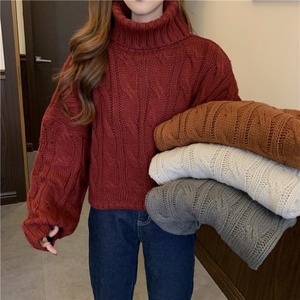 Women's High Neck Sweater Solid Color Knit Pullover Autumn Winter Casual Top Medium Thickness Gray Red Beige Caramel - Product Image 1