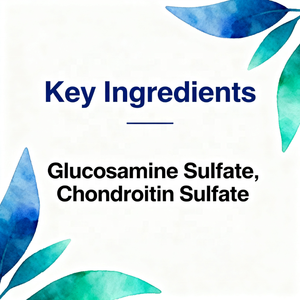 Ovita oem halal glucosamine chondroitin קפסולות ויטמין MSM גלוקוזאמין עבור סחוס ותמיכה בריאות משותפת - Product Image 2