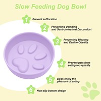 Bol à alimentation lente en silicone avec ventouse, anti-dérapant, anti-renversement, anti-étouffement, pour chiens et chats, facile à nettoyer