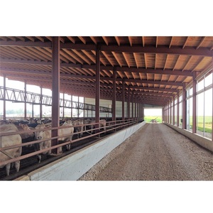 Capannone in Struttura d'Acciaio per Allevamento di Bovini da Latte - Product Image 1