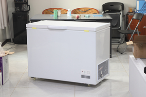 <span class=keywords><strong>Congélateur</strong></span> Commercial <span class=keywords><strong>Horizontal</strong></span> <span class=keywords><strong>ou</strong></span> <span class=keywords><strong>Vertical</strong></span> de Bonne Qualité – Coffre, Droit, Petit et Profond - Product Image 3