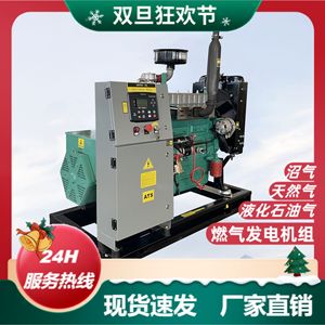 Grupo Electrógeno de Metanol Personalizado de 250KW, Motor a Gasolina de 400V, Amarillo, Ahorro de Energía, Uso Industrial - Product Image 3