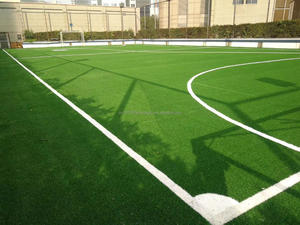 Sân bóng đá năm mặt với sân cỏ nhân tạo có chiều cao cọc 30mm và Đèn hàng rào - Product Image 4