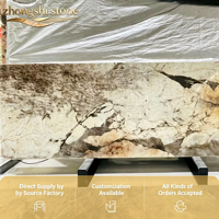 Pierre de luxe translucide Golden Lakeside, moderne, polie, imperméable, pour usage intérieur sur murs et plans de travail