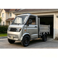 Camionnette électrique 4 roues 3500W certifiée EEC COC 2026 UE/US, mini-fourgonnette utilitaire légère à énergie nouvelle pour adultes