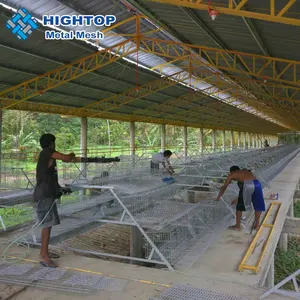 chicken houses designs poultry farming design for chicken farm building