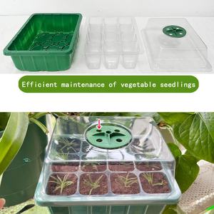 POTS de <span class=keywords><strong>semis</strong></span> en <span class=keywords><strong>plastique</strong></span> à 12 trous, ensembles de trois pièces de plateaux de <span class=keywords><strong>semis</strong></span>, boîtes de <span class=keywords><strong>semis</strong></span> de <span class=keywords><strong>semis</strong></span> succulentes, plateaux de <span class=keywords><strong>semis</strong></span> isolés - Product Image 3