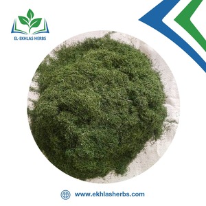 High Quality <strong>Herbs</strong> and Spices Dried Green Color <strong>Dill</strong> Organic <strong>Dill</strong> Natural Dried <strong>Herb</strong> Products <strong>Dill</strong> - Product Image 6