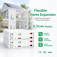 Batterie LiFePO4 5kWh 51.2V 100Ah pour système d'alimentation domestique (ESS) 6000 cycles, montage mural, communication CAN, garantie 5 ans, compatible Growatt