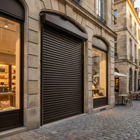 Porte à enroulement isolée en gros pour la construction commerciale, porte roulante en acier coloré de haute qualité
