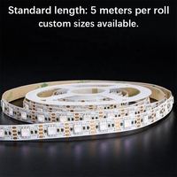 Bande LED Flexible FPC 5050 RGB 10mm de Large, Découpable, Auto-Adhésive, Alimentation USB 5V, Éclairage Intelligent pour la Maison, Vente en Gros Chine