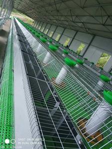 Cages <span class=keywords><strong>à</strong></span> lapins industrielles pour élevage commercial, <span class=keywords><strong>2</strong></span> <span class=keywords><strong>étages</strong></span>, avec loquets, en plastique et acier galvanisé, faciles <span class=keywords><strong>à</strong></span> nettoyer - Product Image 5