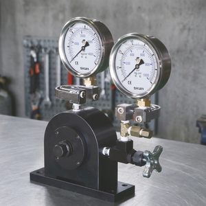 Testeur de couple hydraulique APLUS GWH-9101, taille de douille 21 mm, ISO9001, pour plage d'application de 30-200 Ft/lb, pression de 70/300 kg/cm - Product Image 3
