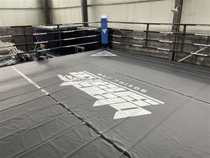 <span class=keywords><strong>Bâche</strong></span> de protection <span class=keywords><strong>pour</strong></span> ring de boxe et lutte WWE 3m x 3m, couleurs personnalisables - Offre Spéciale - Product Image 4