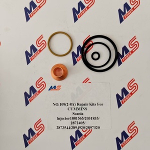 Kit di riparazione n. 109(2-8a) per CUMMINS Scania inijtor1881565/2031835/ 2872405/ 2872544/2894920/2897320 - Product Image 1