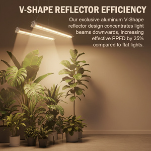 Tube LED T5 à spectre complet haute luminosité pour <span class=keywords><strong>serre</strong></span>, système hydroponique, croissance des plantes, des semis et des fleurs - Product Image 2