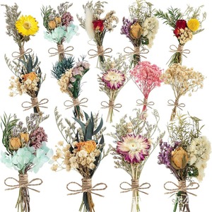 Flores Secas Naturales para Decoración de Paredes, Pequeños Ramos Rústicos de Botánicos Reales Preservados para Manualidades, Decoración del Hogar y Regalos de Boda - Product Image 6