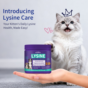 อาหารเสริมแอลไลซีนสำหรับแมวสำหรับจามน้ำมูกไหลเย็นภูมิคุ้มกันสนับสนุนการทำงานของตาและสุขภาพระบบทางเดินหายใจ - Product Image 6