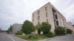 Alternateur synchrone à excitation sans balais AC 100 % cuivre Tekins TKI-4C, 250 kVA 200 kW, 50 Hz, silencieux, diesel, ATS, prix usine - Product Image 6