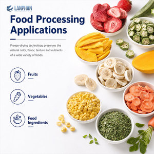 Liofilizador Comercial de Alimentos 50KG por Lote 3.5m² 14 Bandejas para Frutas, Verduras, Dulces y Alimentos para Mascotas - Product Image 5