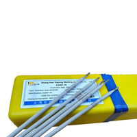 Barres de soudage en acier inoxydable duplex AWS A5.4, différents modèles, y compris E2594, E2209, E2205, E2507, E2553-16, E2594-17, E2209-17