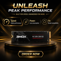 Бюджетный SSD-накопитель SATA M.2 256 ГБ 2280 NGFF с поддержкой Intel и AMD для настольных ПК и ноутбуков
