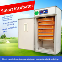 Nouvel incubateur d'œufs numérique entièrement automatique de grande taille, capacité de 360 œufs, taux d'éclosion de 98% pour poulets, canards, oies, cailles, émeus