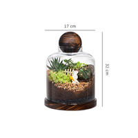 Terrarium rond en verre galvanisé fait main moderne avec base en bois pour la décoration de la maison et du jardin, récipient pour plantes d'intérieur