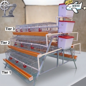 Gabbia Automatica per Galline Ovaiole per Allevamento Avicolo, Risparmia Manodopera e Migliora l'Efficienza - Product Image 1