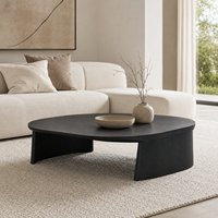 Table basse moderne de style mid-century, grande et irrégulière, laquée haute brillance, table centrale moderne pour salon et appartement