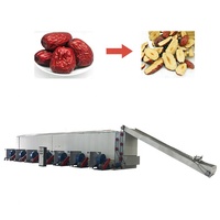 Ondersteuning voor maatwerk Chili-droogmachine, continue tomatendroogmachine, gaasband-kool/fruit/gember-tunnel droogmachine