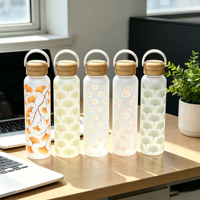 Bouteille en verre borosilicate résistant à la chaleur de 550 ml avec impression intégrale et revêtement en silicone souple – Vente en gros