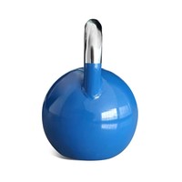Offre Spéciale : Kettlebell de Fitness avec Poignée Électroplaquée Colorée pour Entraînement en Salle de Sport et Musculation Libre
