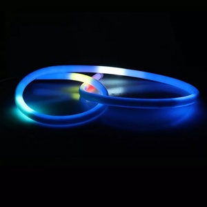 Tira de Luz LED RGB Digital de 360 Grados con Cubierta de PVC, Efecto Pixel Mágico, para Iluminación Arquitectónica y Contornos de Edificios - Product Image 3