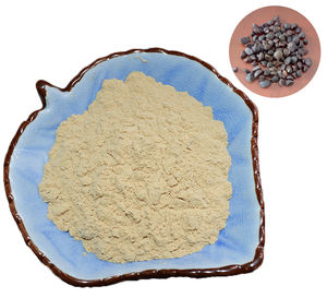 工場バルクカメリアシナンシス種子エキス茶サポニン粉末100% 茶サポニン90% 茶種子サポニン - Product Image 3