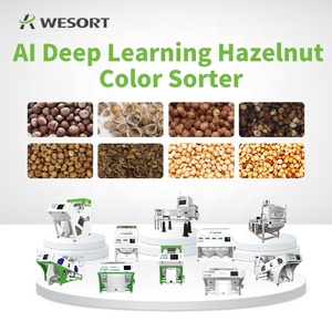 Wesort nhà sản xuất 6sxz-68lgb Nut thép không gỉ máy móc chế biến Hazelnut colour SORTER núi hạt dẻ phân loại máy - Product Image 6