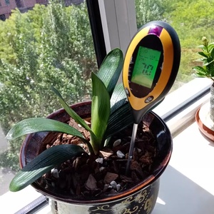 Testeur <span class=keywords><strong>de</strong></span> pH du sol haute précision 4 en 1, instrument précis <span class=keywords><strong>pour</strong></span> tester la température, l'humidité, la luminosité du soleil, analyseur <span class=keywords><strong>de</strong></span> sol <span class=keywords><strong>de</strong></span> jardin - Product Image 4