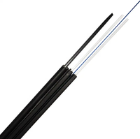 Ftth kabel Drop untuk dalam dan luar ruangan, 1 2 4 Core G657A1 2*5mm ISO9001 kabel Fiber Drop FTTH UT 2km Roll FRP atau kawat baja 900