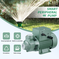 Pompe à eau solaire Xili 12V 1 pouce DC multi-étages haute pression avec moteur à noyau en cuivre, garantie 2 ans, traitement des eaux usées 180-230W