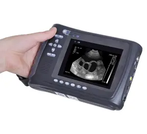 2024 PL2018 la macchina per test di gravidanza ad ultrasuoni per suini può essere misurata con attrezzature per l'allevamento di suini