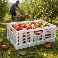 Caisse pliable ventilée pour le transport en gros de légumes et fruits, bac solide en plastique Yusu