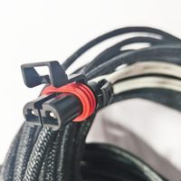 Faisceau de câbles électrique automobile personnalisé en PVC isolé avec conducteur en cuivre pur, indice de protection IP67, assemblage de câbles automobiles 60V