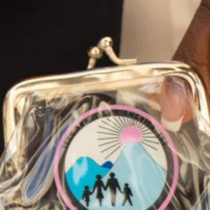 Clear Coin Purse Transparent Zipper <b>Pouch</b> for Coins Cash Cards Keys Small Essentials Travel Everyday Storage and Organization - Product Image 2